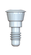 IS Cover Screw