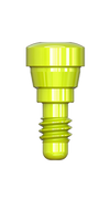 IS Cover Screw