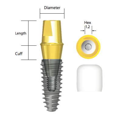 IS Solid Abutment Neo Dental