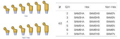 Snaffit Angled Abutment